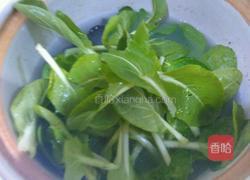 青菜木耳汤的做法图解4