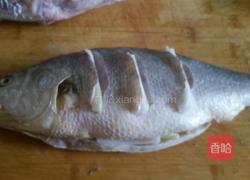 家常烧黄花鱼的做法图解2