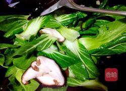 蚝油香菇油菜的做法图解6