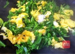 荠菜炒蛋的做法图解7