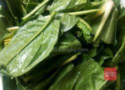 蒜蓉菠菜的做法图解1