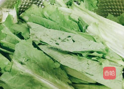 豆豉炒油麦菜的做法图解1