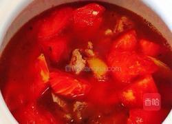 西红柿牛腩的做法图解4