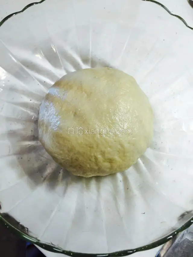 放人盆里开始发孝2小时