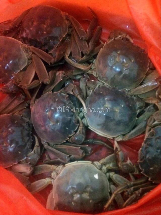 准备食材：河蟹。（看蟹的肚子成半圆形的是母蟹，最肥了。买的时候挑母蟹买。）