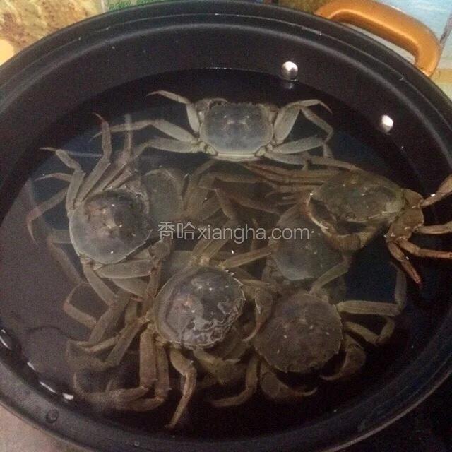 锅里放入适量水，淋入少许料酒，放入河蟹（一定冷水进锅，这样蟹脚才不会都掉了）。