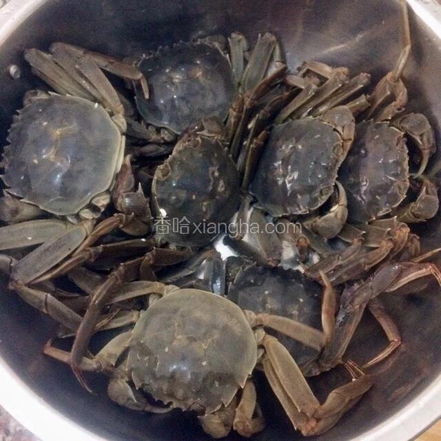 将河蟹逐只洗净，放入水中养半天，使它排净腹中污物。