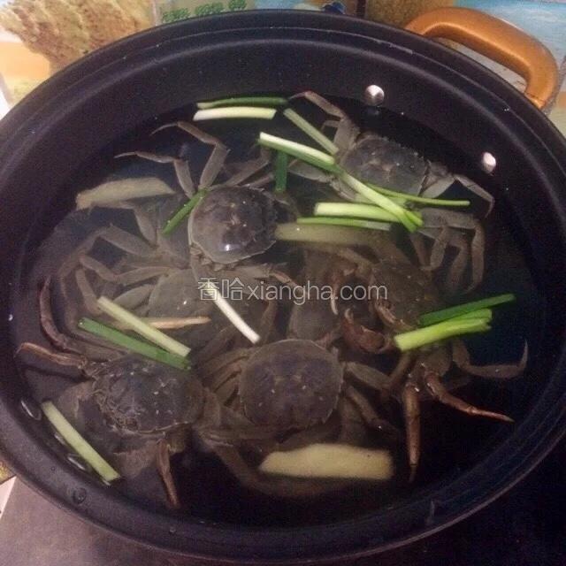 加入葱段，姜片中火煮5分钟。煮河蟹的水放一点就行，差不多淹没河蟹肚子那就行了，。