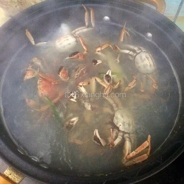 水滚开后把河蟹翻过来，以免蟹黄流到水里。再煮5分钟，即可出锅。