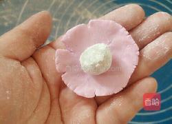 果蔬萌猫爪汤圆的做法图解5