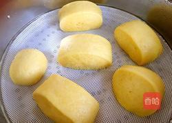 玉米面馒头的做法图解14