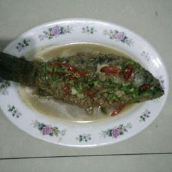 清炖鱼的做法[图]
