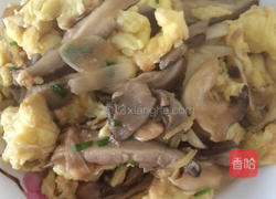 平菇炒蛋的做法图解11