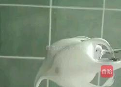 小山进蛋糕卷的做法图解4