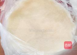 白菜猪肉春卷的做法图解4