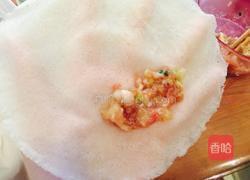 白菜猪肉春卷的做法图解5