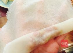 白菜猪肉春卷的做法图解6