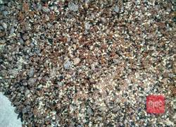 芝麻红糖酥饼的做法图解5