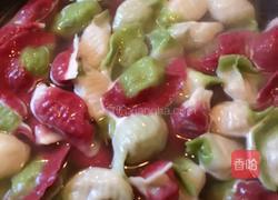 彩色饺子的做法图解5