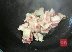 回锅肉（香哈辣酱版）的做法图解4