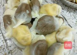 粗粮饺子的做法图解7