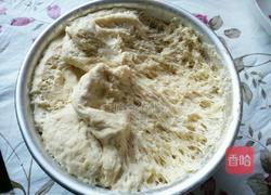 胡萝卜羊肉包子的做法图解6