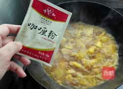 咖喱土豆鸡丁的做法图解6