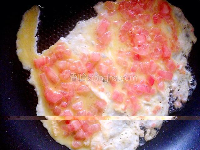 锅里烧热刷一层油，倒入一勺鸡蛋液，摊开