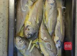 干煎黄花鱼的做法图解1