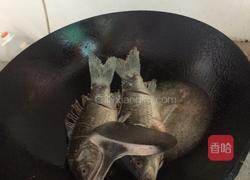 鲫鱼萝卜丝的做法图解3