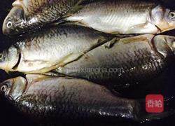 酱焖鲫鱼的做法图解1