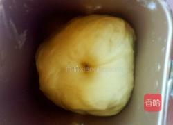 风车提子面包的做法图解5