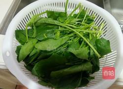 素炒菠菜的做法图解1