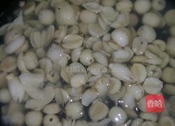 百合莲子汤的做法图解5