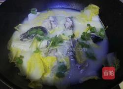 白菜鱼头汤的做法图解10