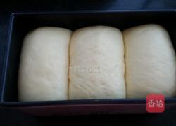 淡奶油全麦吐司的做法图解18