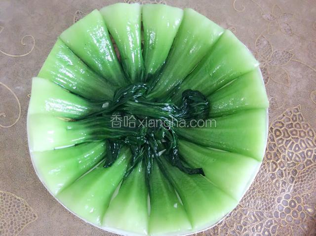 菜帮朝上依次摆入盘中