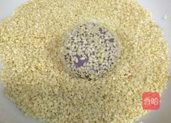 紫薯肉松球的做法图解13
