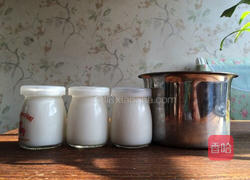 自制酸奶的做法图解6