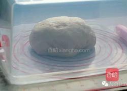 椰蓉奶酪手揪包的做法图解5