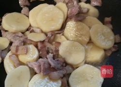 土豆烧肉的做法图解5