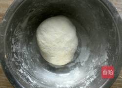 洋葱猪肉饼的做法图解2