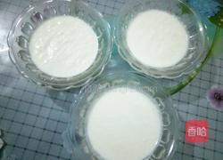 自制酸奶的做法图解11