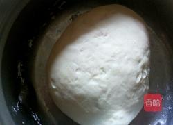 馅饼(另加韭菜盒子)的做法图解1