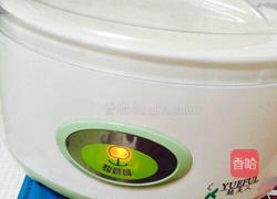 自制奶粉酸奶的做法图解5