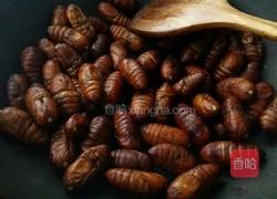 炒茧蛹的做法图解2