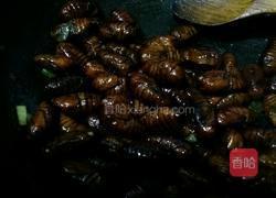 炒茧蛹的做法图解4
