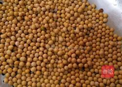 黄豆蒸肉的做法图解2