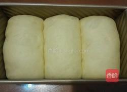 葡萄干土司的做法图解10