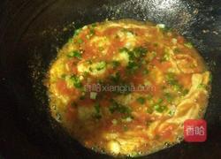 西红柿炸蛋的做法图解6